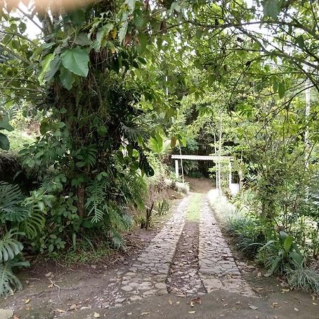 Hotel Green Mountain Τουριάλμπα Εξωτερικό φωτογραφία