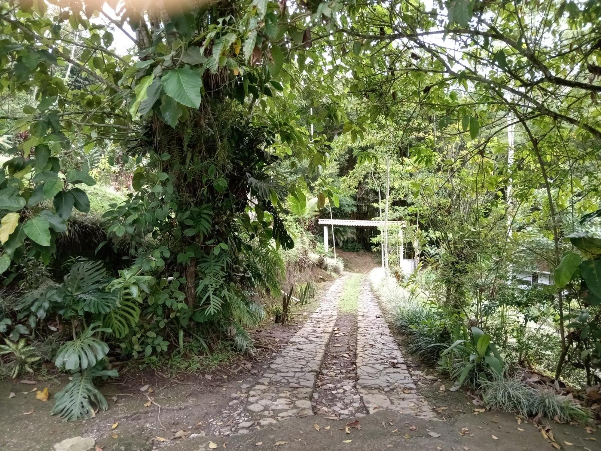 Hotel Green Mountain Τουριάλμπα Εξωτερικό φωτογραφία
